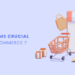 CMS-Platform-for-your-Business